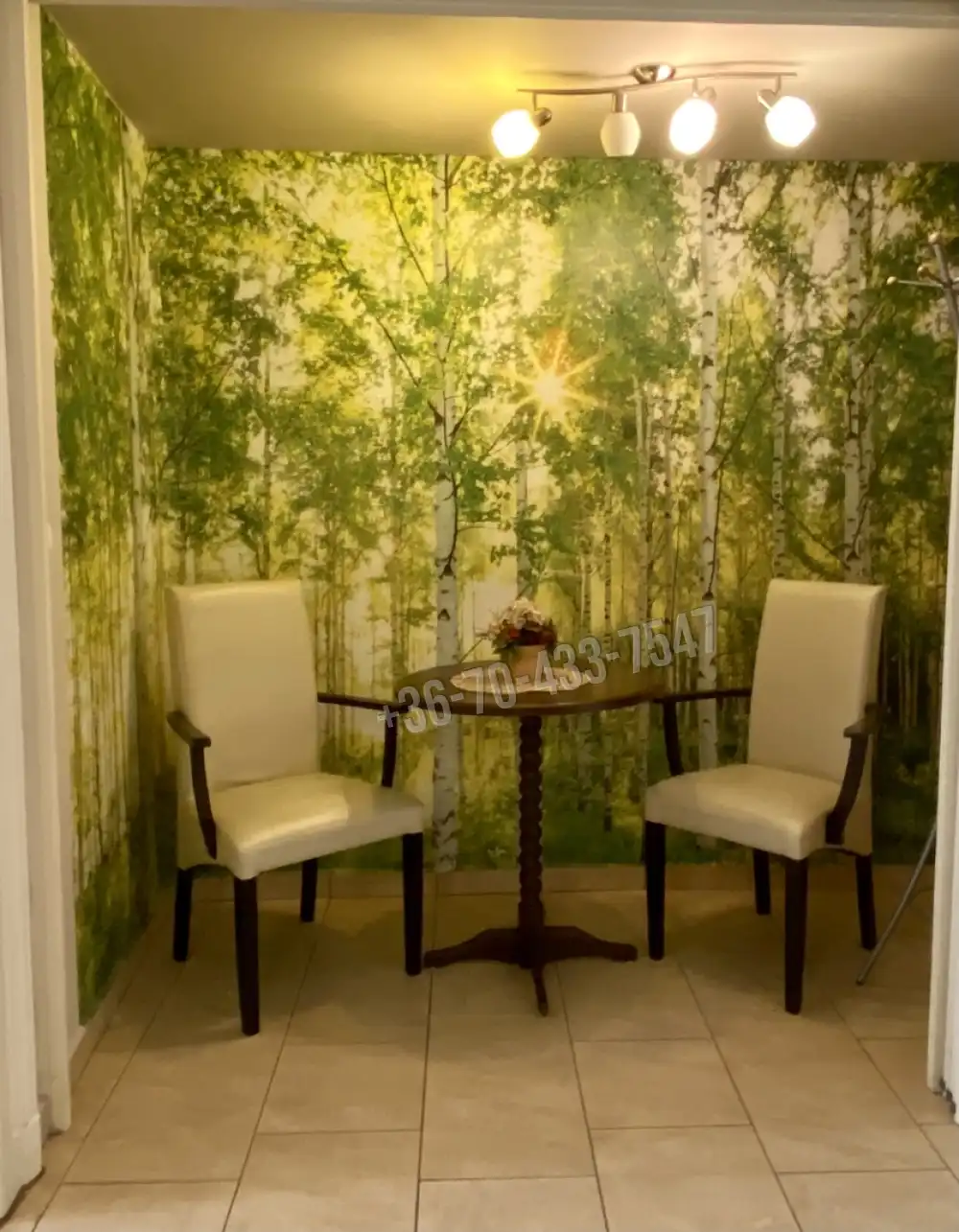 Budapest, VI. kerület - Terézváros (Nagykörúton belül)