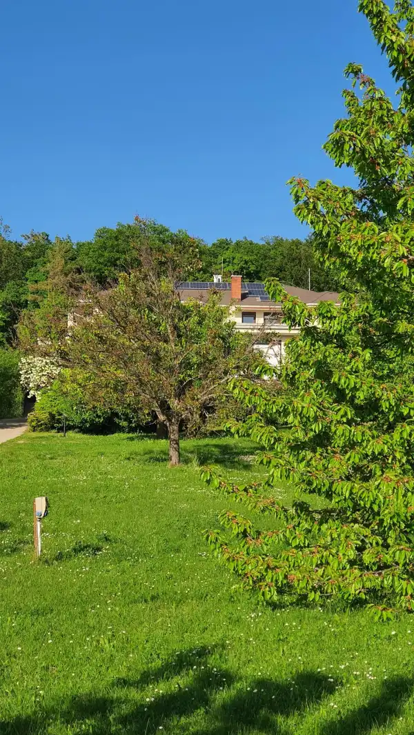 Eladó családi ház, Budakeszi 5 szoba 340 m² 339 M Ft