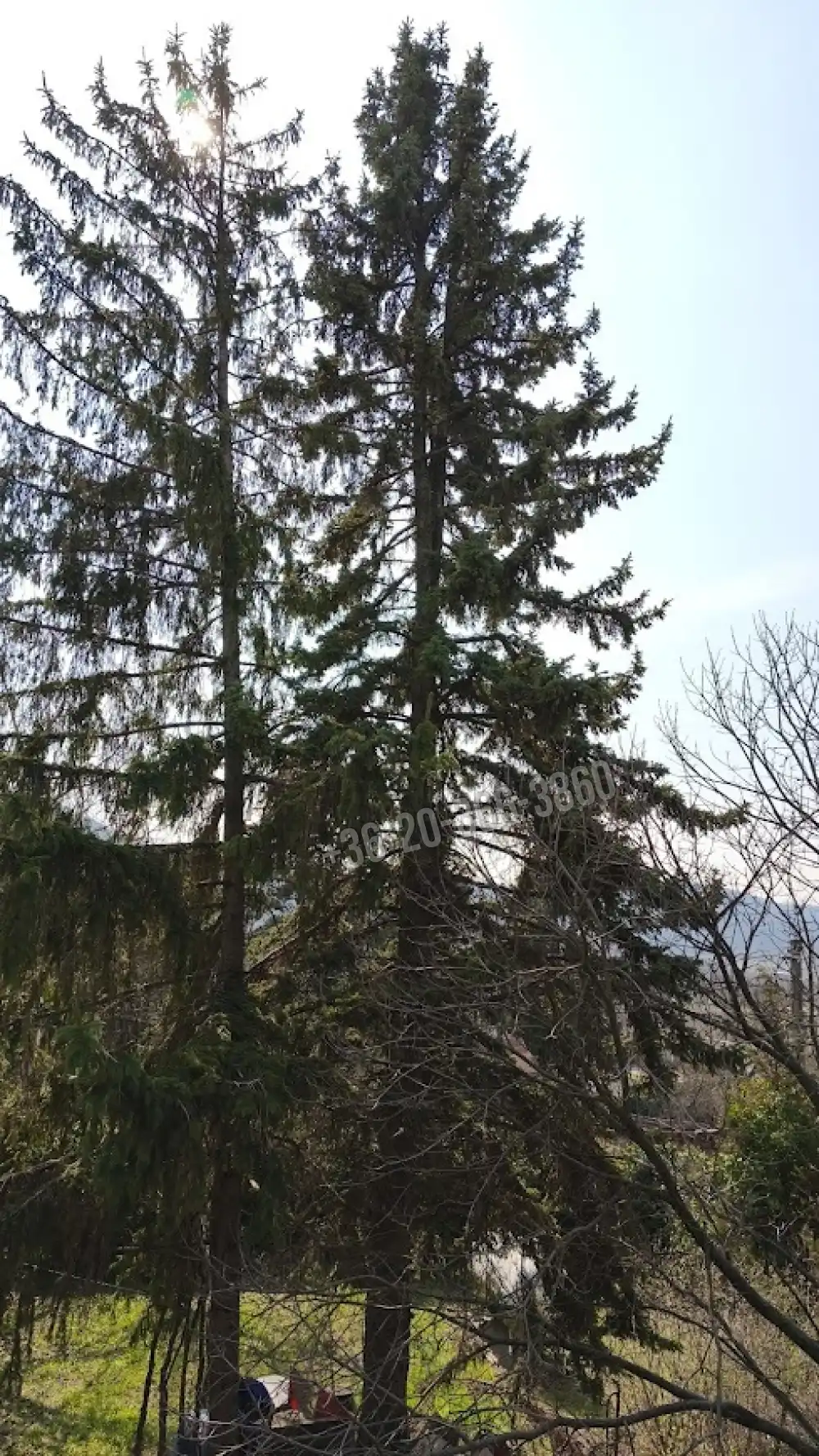 Pest megye - Budakeszi
