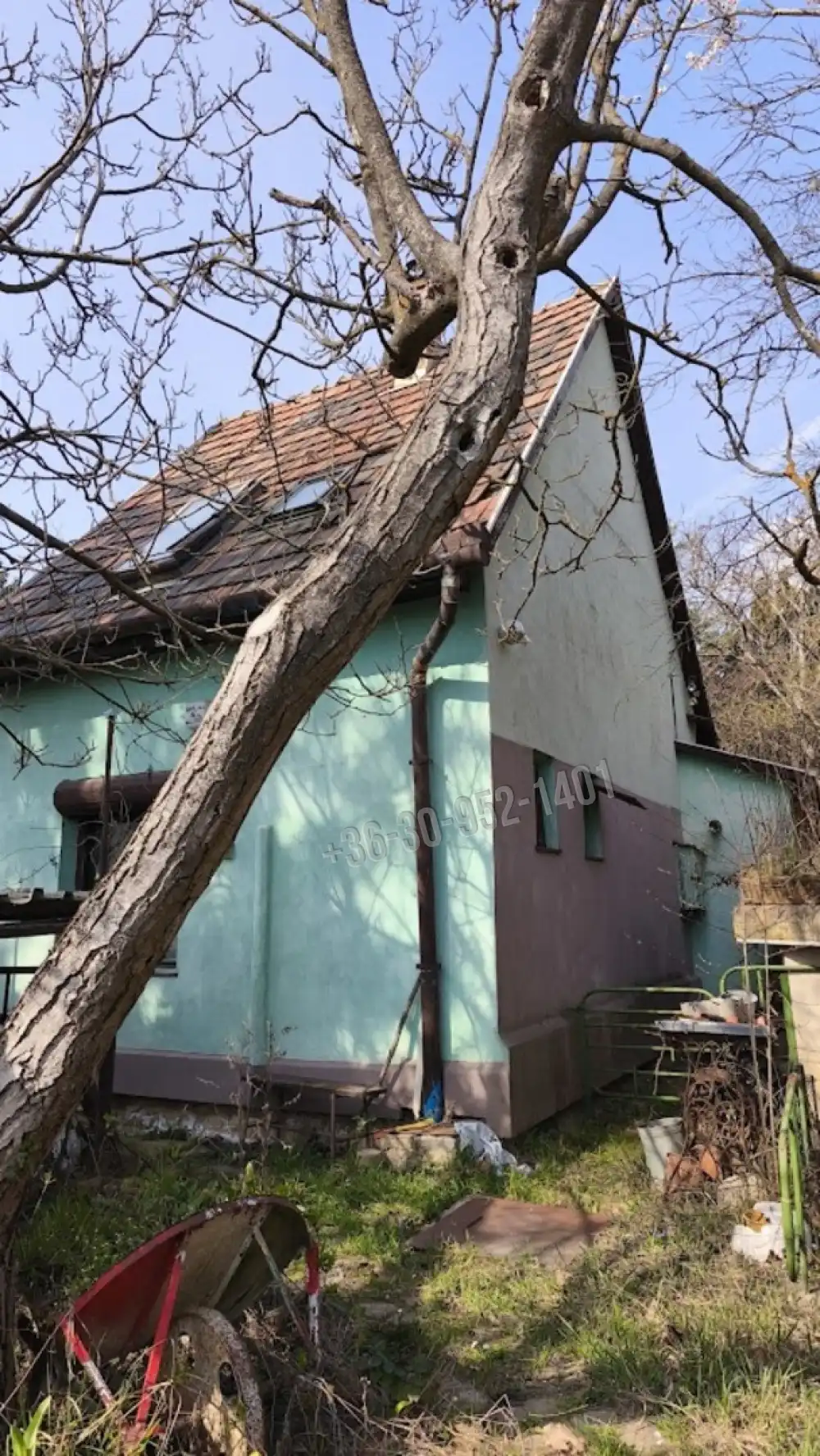 Pest megye - Budakeszi