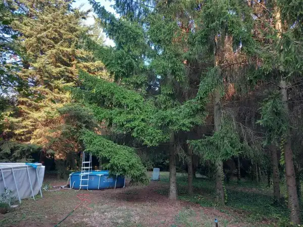 Eladó Építési telek, Budakeszi 2006 m² 110 M Ft