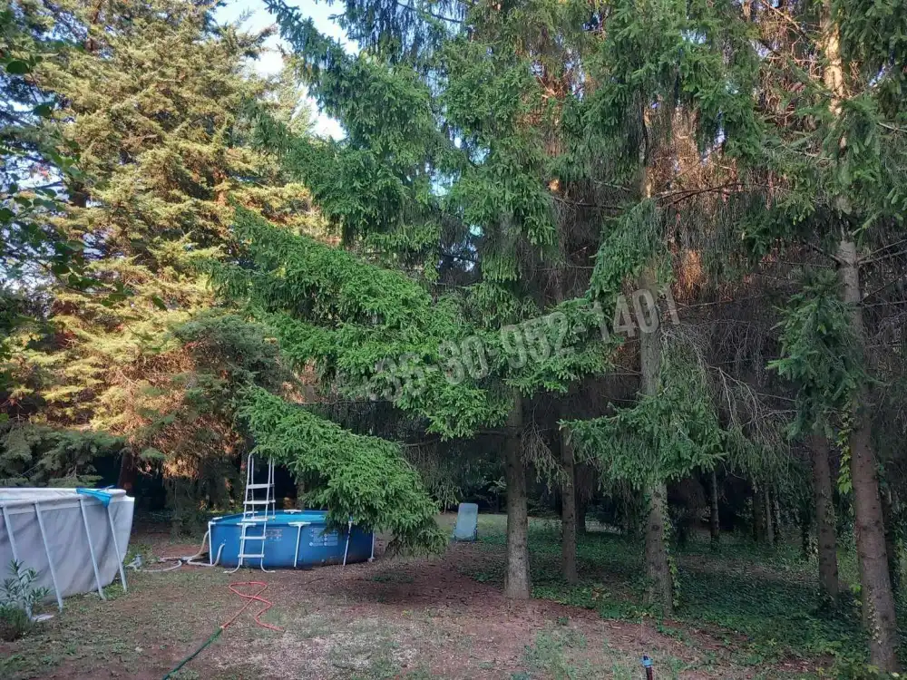 Pest megye - Budakeszi