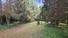 Pest megye - Budakeszi
