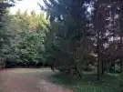 Pest megye - Budakeszi