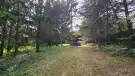 Pest megye - Budakeszi