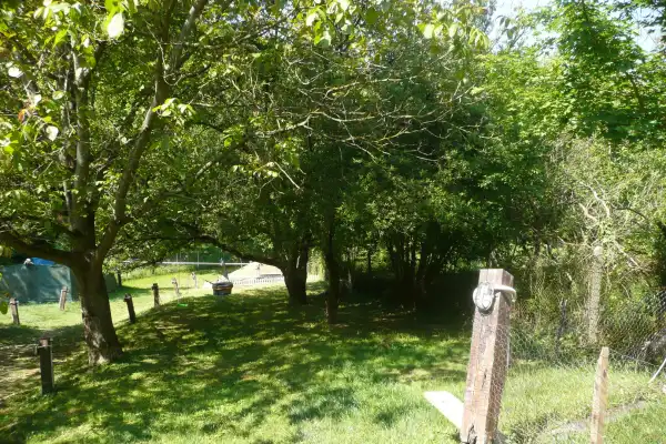Eladó Építési telek, Budakeszi 1601 m² 149.9 M Ft