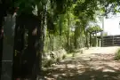 Pest megye - Budakeszi