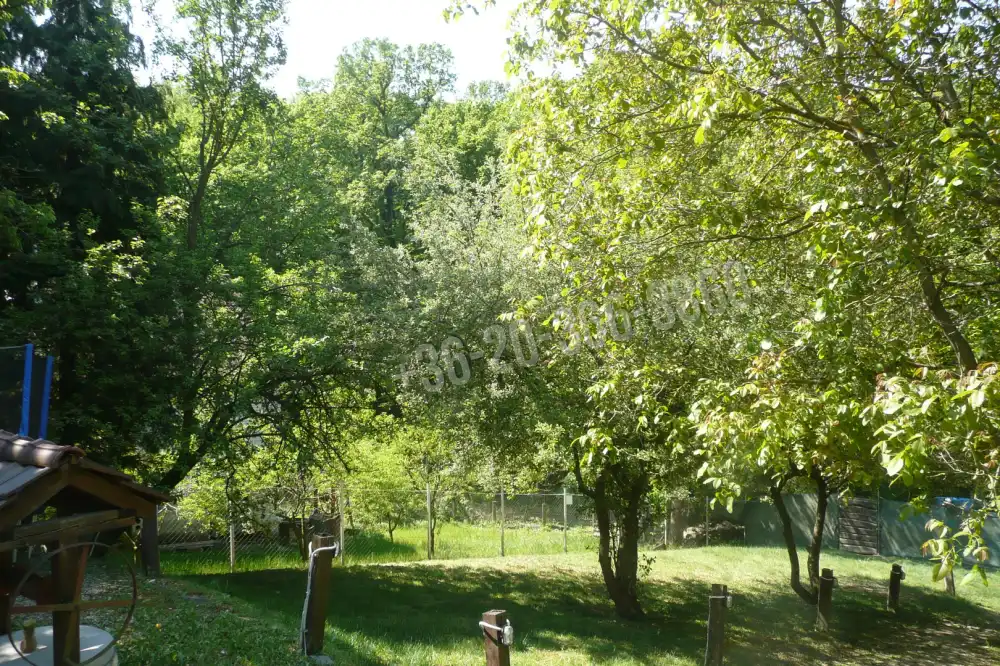 Pest megye - Budakeszi