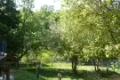 Pest megye - Budakeszi
