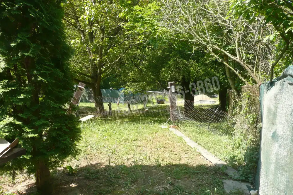Pest megye - Budakeszi