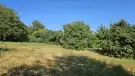 Pest megye - Budakeszi