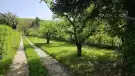 Pest megye - Budakeszi
