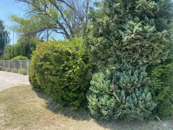 Eladó Építési telek, Dunaharaszti 1 m² 300 M Ft + Áfa