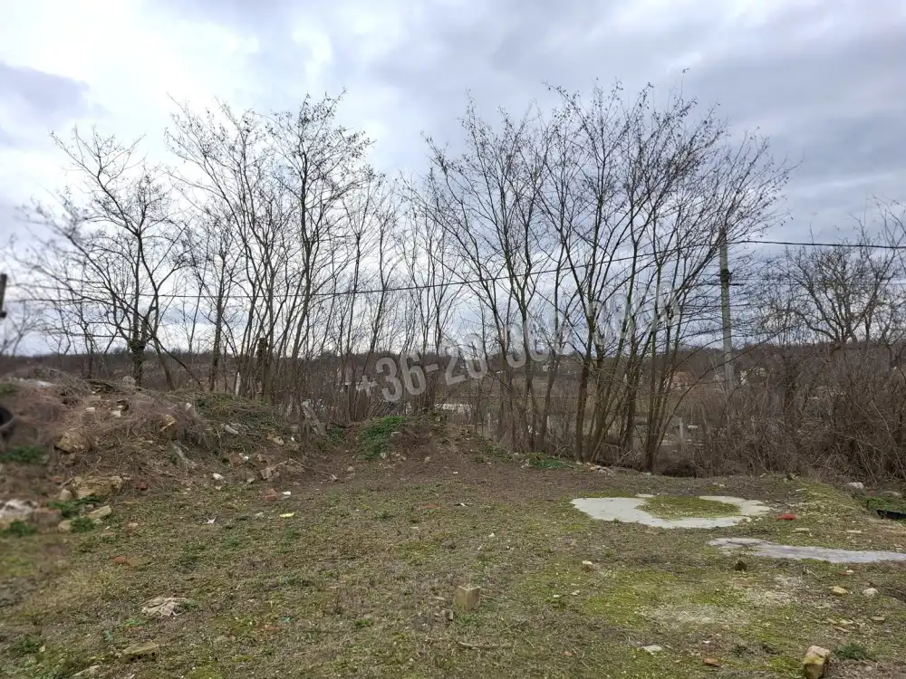 Fejér megye - Mány