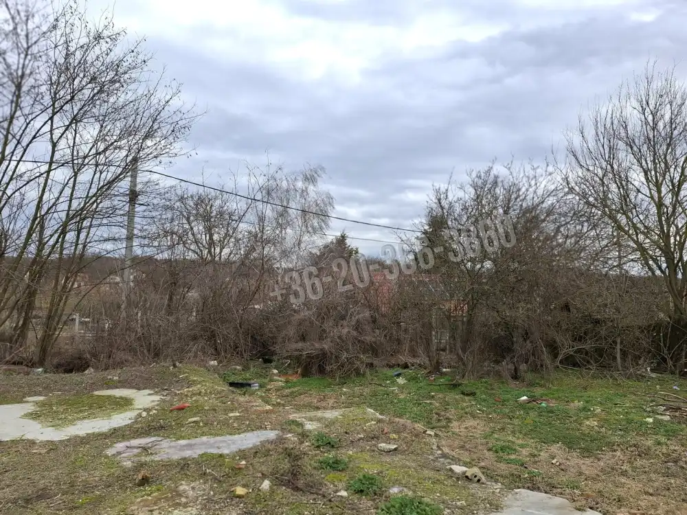 Fejér megye - Mány