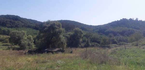 eladó  Erdő, Recsk