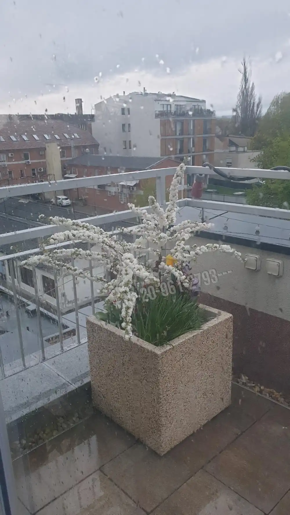 Budapest, I. kerület - Gellérthegy