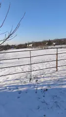 Pest megye - Tök