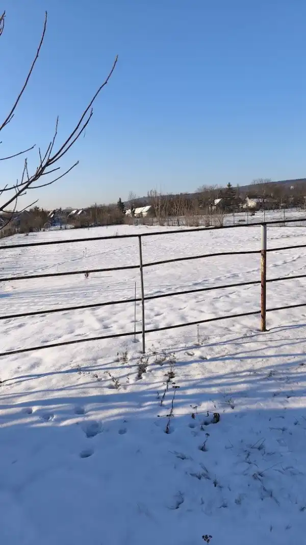 Eladó gazdasági ingatlan, Tök 237 m² 189 M Ft