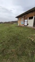 Pest megye - Tök