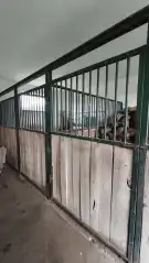 Pest megye - Tök