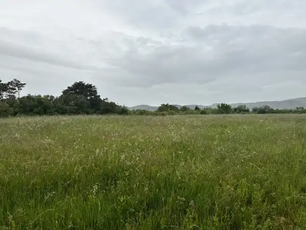 Eladó Gyümölcsös, Törökbálint 1 m² 51.48 M Ft