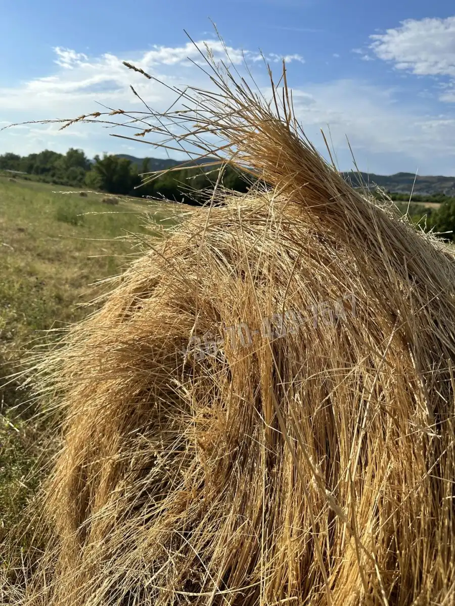 eladó  Kereskedelmi telek, Törökbálint eladó  Kereskedelmi telek, Törökbálint