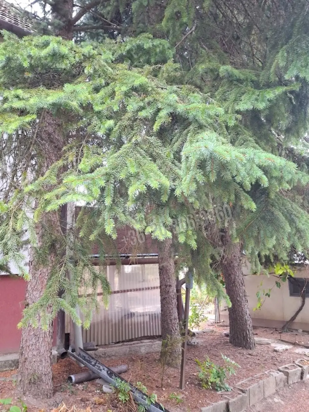Pest megye - Biatorbágy