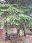 Pest megye - Biatorbágy