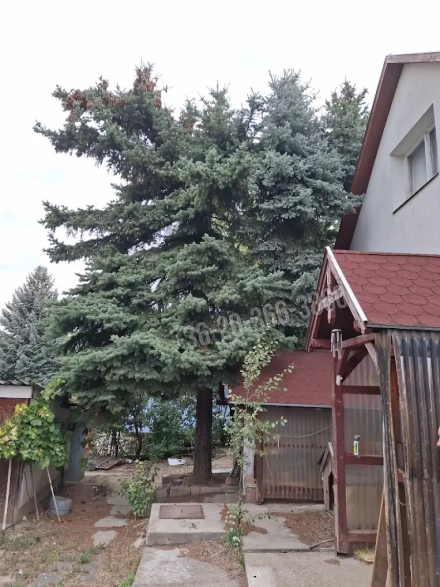 eladó nyaraló, Biatorbágy