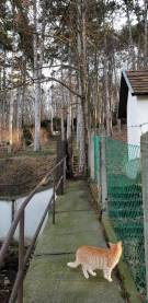 Pest megye - Budakeszi