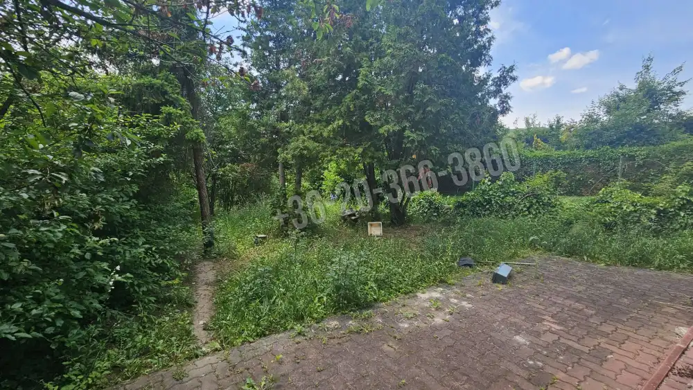 Pest megye - Budakeszi