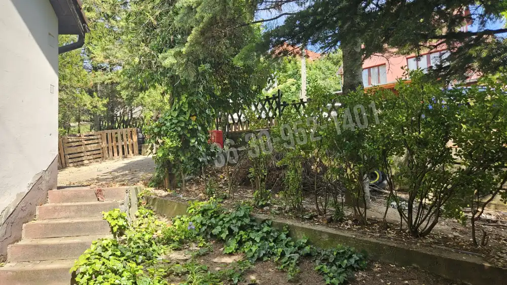 Pest megye - Budakeszi