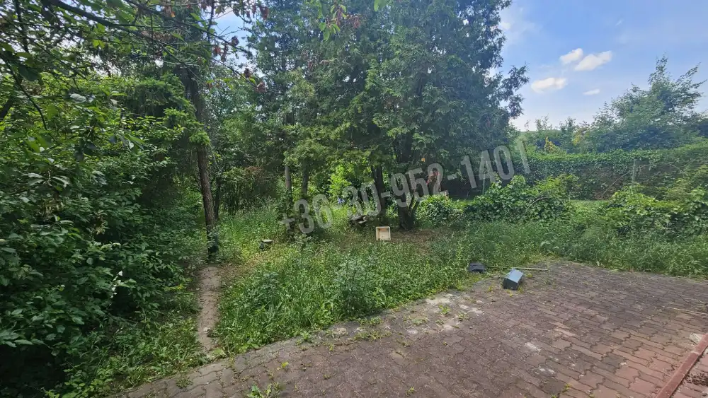 Pest megye - Budakeszi