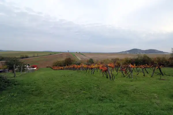 Eladó Szántó, Gyermely 608 m² 3.5 M Ft