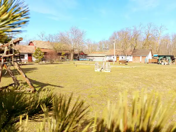 Eladó tanya, Kocsér 2 szoba 65 m² 83 M Ft
