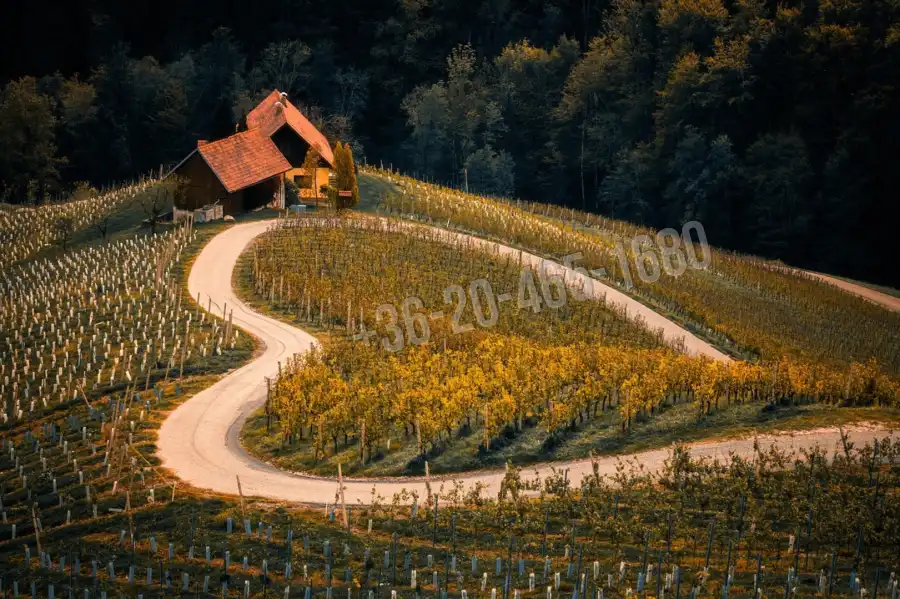 eladó tanya, Petőfiszállás