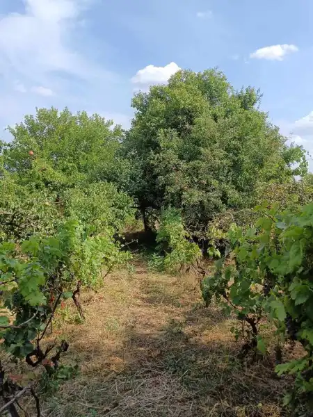 eladó telek, Zsámbék