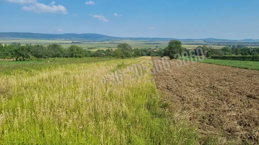 eladó  Üdülő, Tök