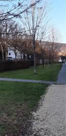 Budapest, XI. kerület - Sasad